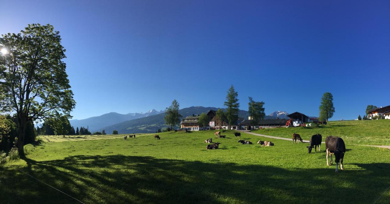 Burglehnerhof Aparthotel รัมเซา อัม ดาคชไตน์ ภายนอก รูปภาพ