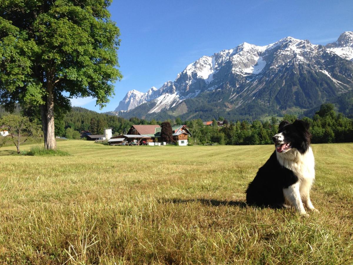 Burglehnerhof Aparthotel รัมเซา อัม ดาคชไตน์ ภายนอก รูปภาพ
