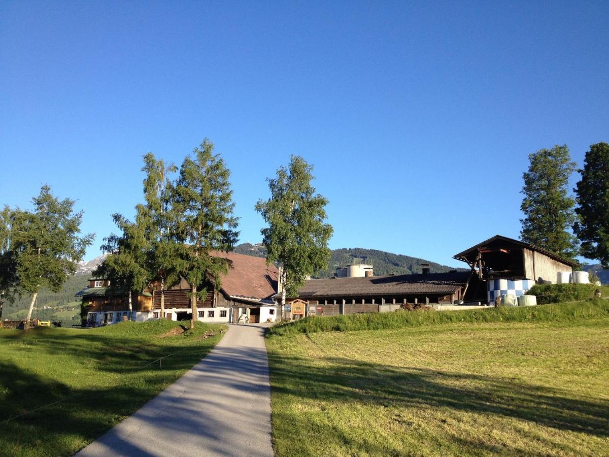 Burglehnerhof Aparthotel รัมเซา อัม ดาคชไตน์ ภายนอก รูปภาพ