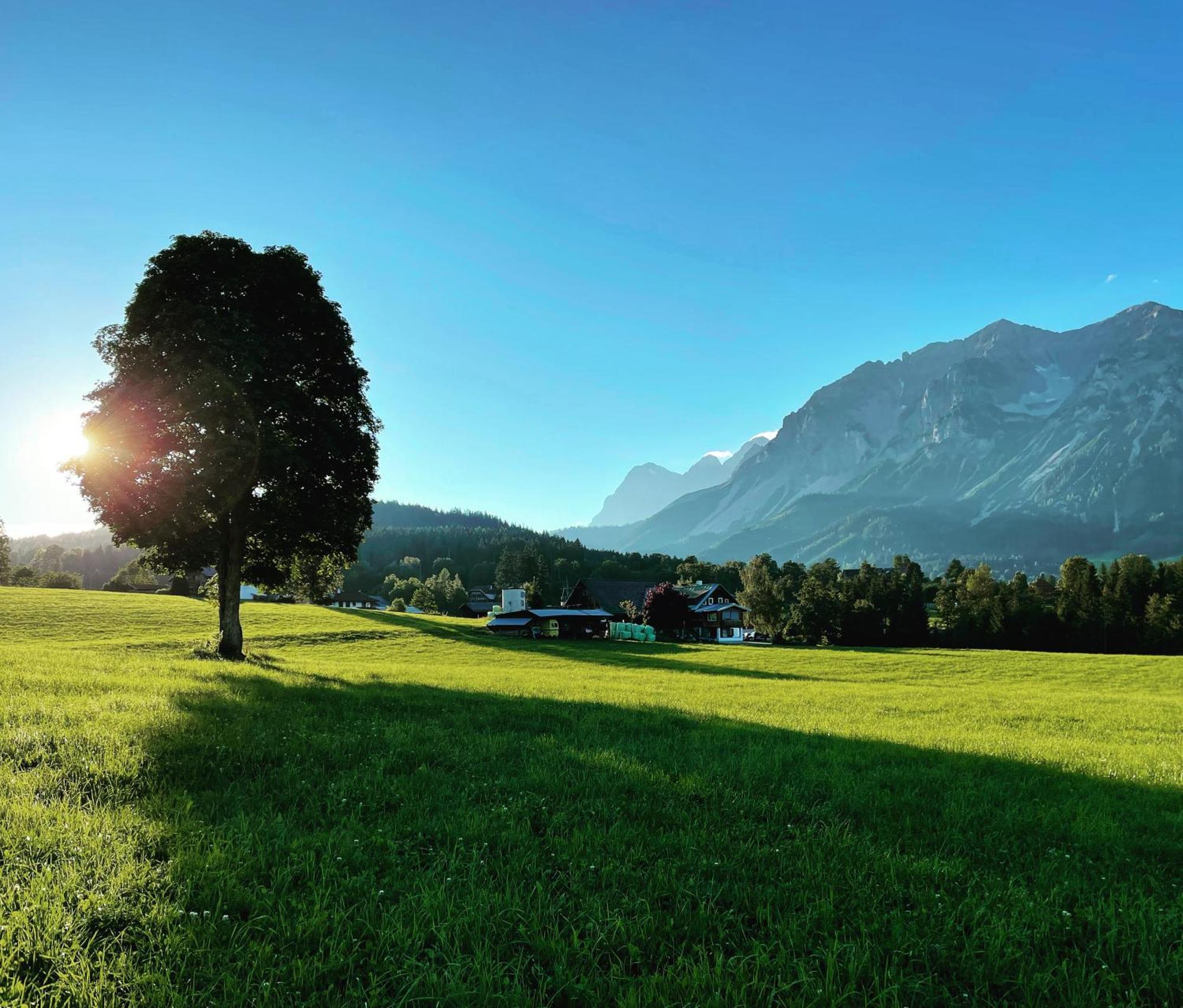 Burglehnerhof Aparthotel รัมเซา อัม ดาคชไตน์ ภายนอก รูปภาพ