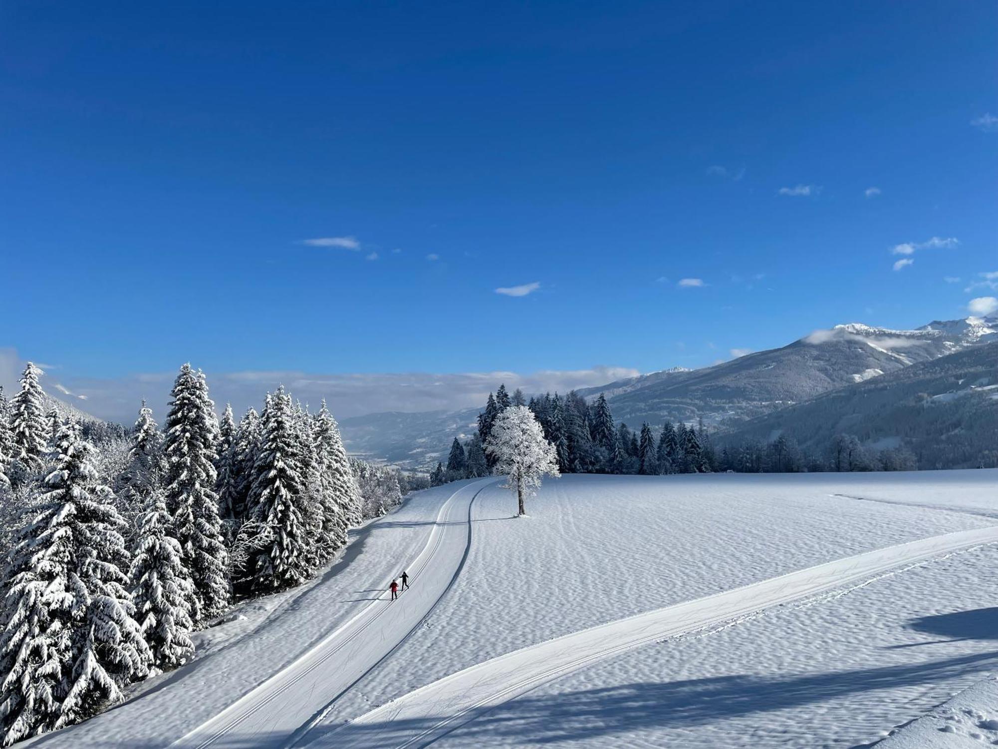 Burglehnerhof Aparthotel รัมเซา อัม ดาคชไตน์ ภายนอก รูปภาพ
