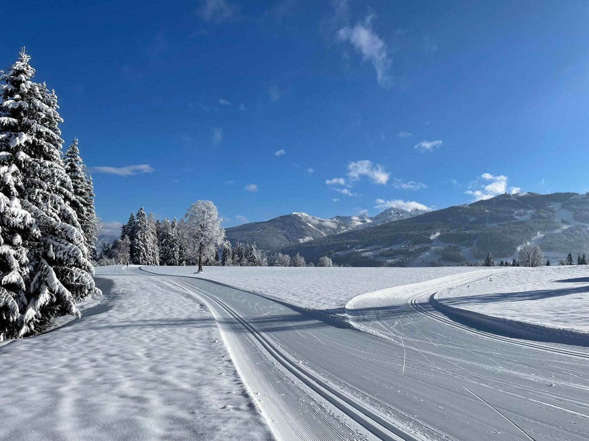 Burglehnerhof Aparthotel รัมเซา อัม ดาคชไตน์ ภายนอก รูปภาพ